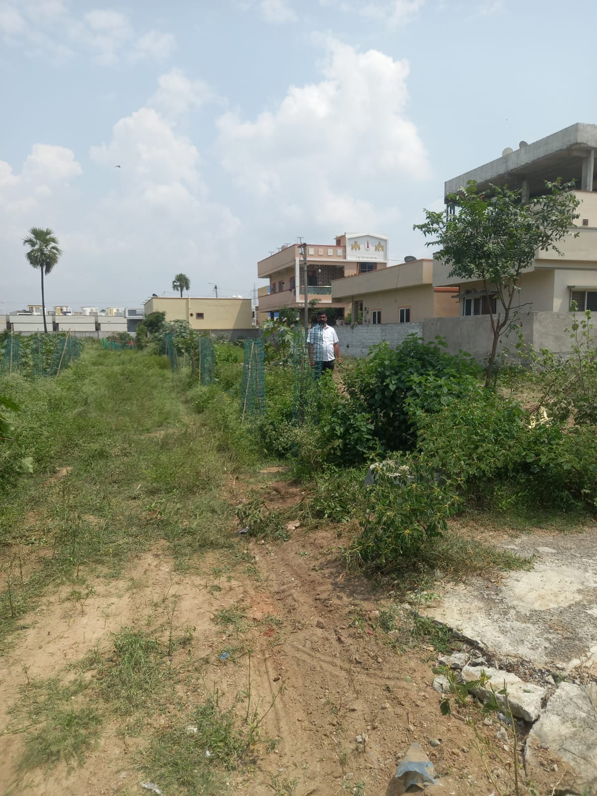 OPEN PLOT FOR SALE AT SAI
